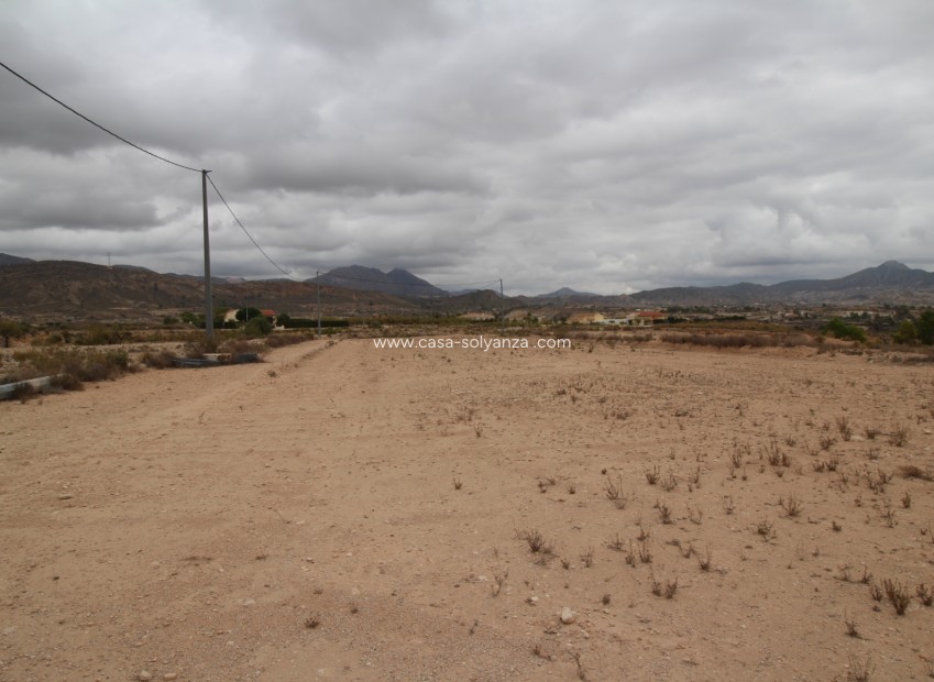 Resale - Land - Abanilla