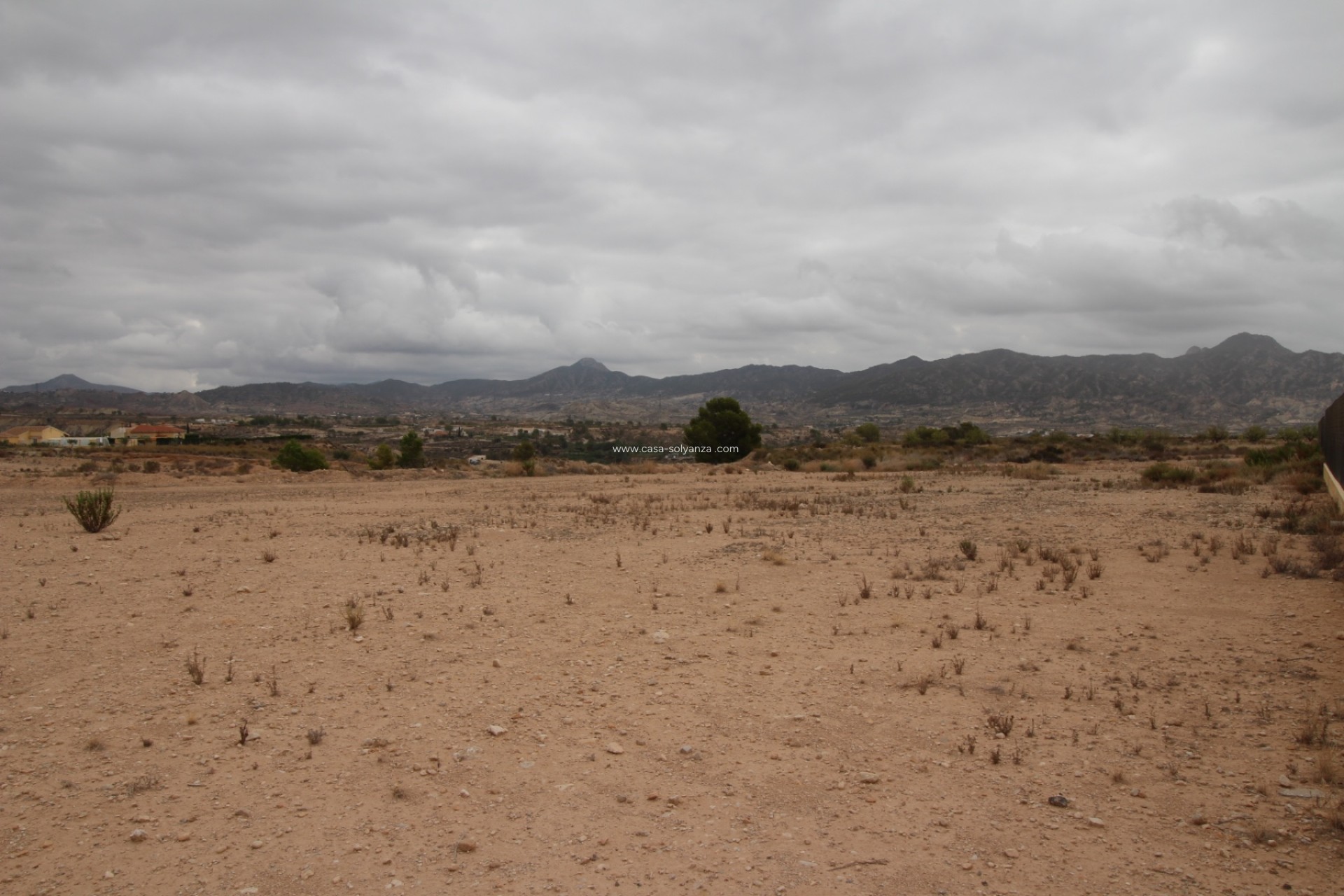 Resale - Land - Abanilla