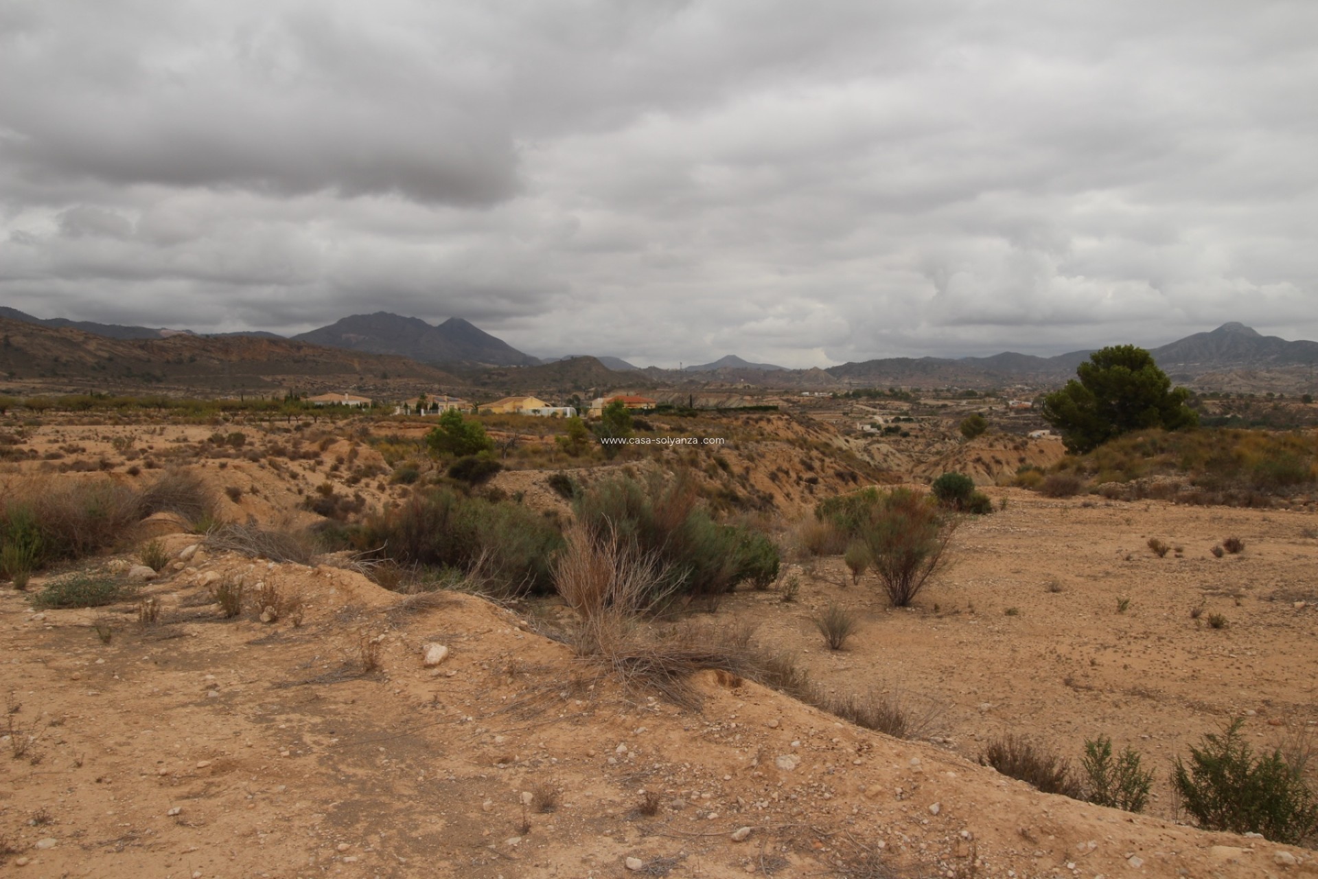 Resale - Land - Abanilla