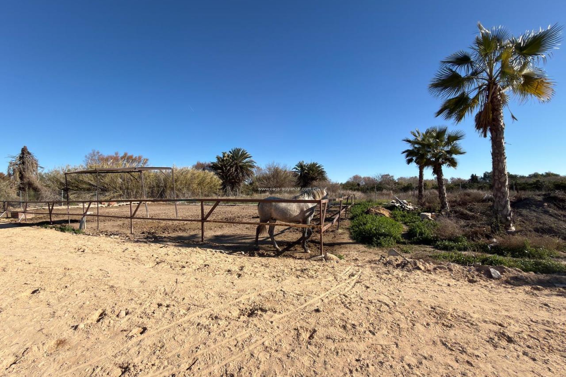 Resale - Land - Algorfa - Inland