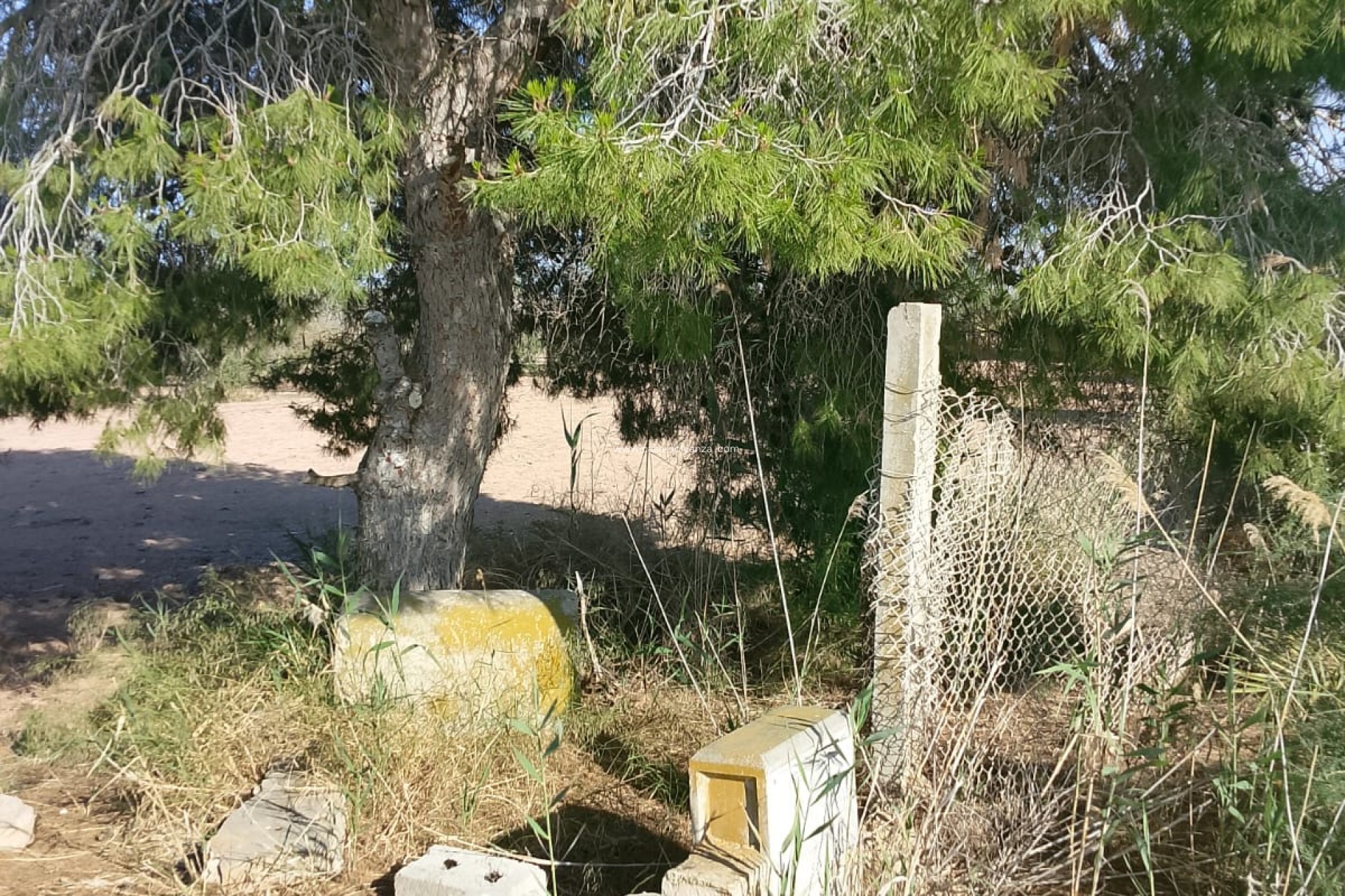 Resale - Land - Alicante>Crevillente - 0