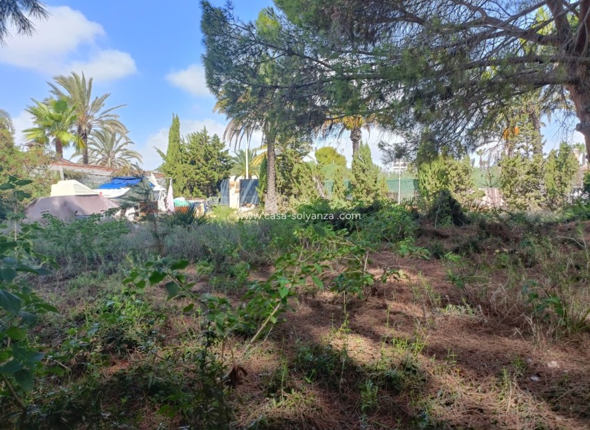 Resale - Land - Cabo Roig - Costa Blanca