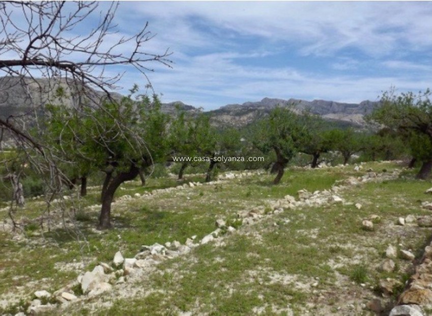 Resale - Land - Callosa d'en Sarria - Callosa d'en Sarria Centro