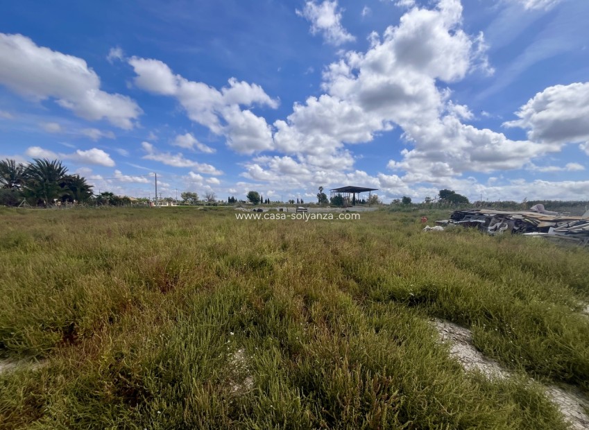 Resale - Land - Catral