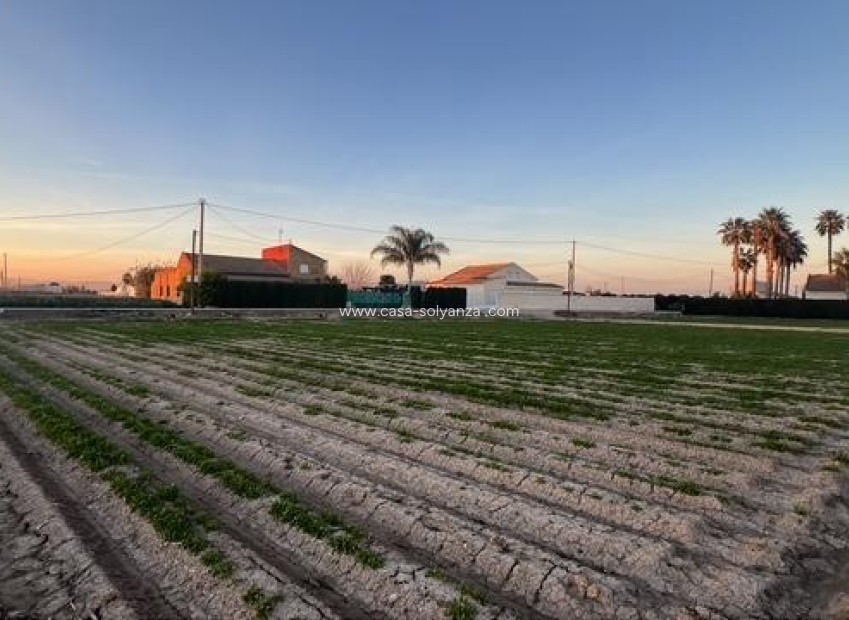 Resale - Land - Dolores - Comunidad Valenciana