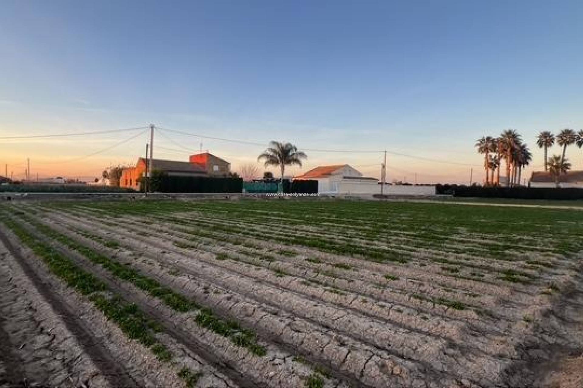 Resale - Land - Dolores - Comunidad Valenciana