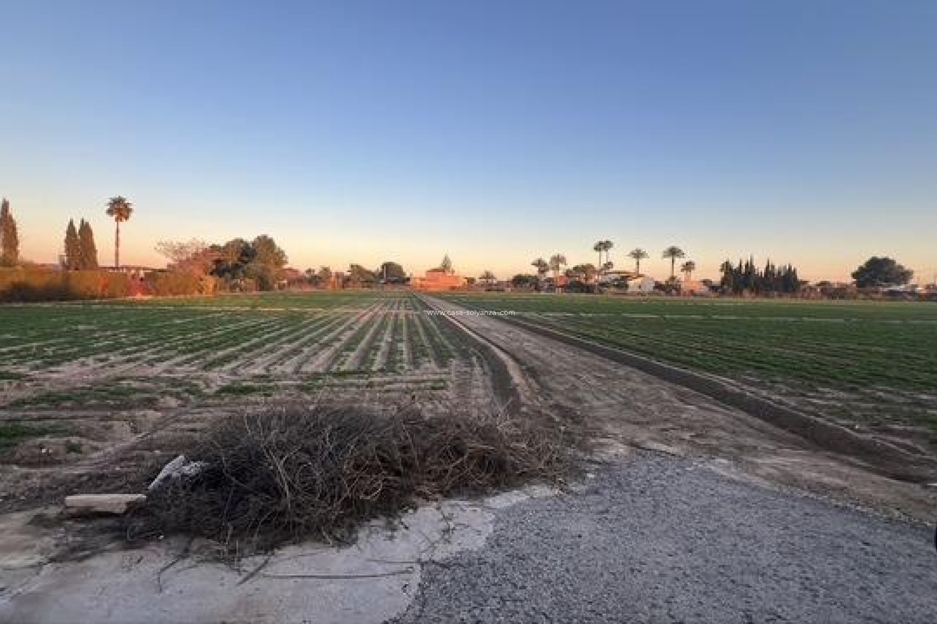 Resale - Land - Dolores - Comunidad Valenciana