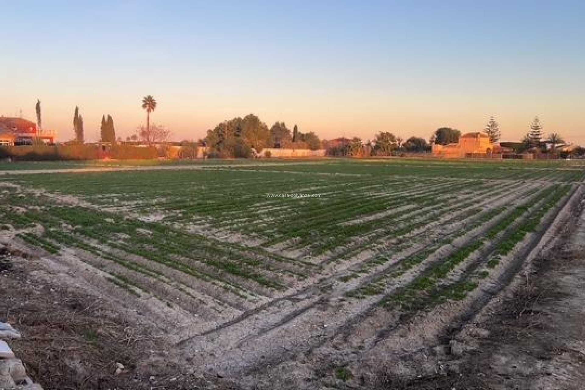 Resale - Land - Dolores - Comunidad Valenciana