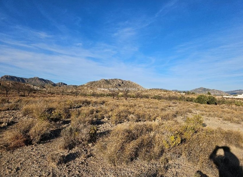 Resale - Land - Elda - 03600