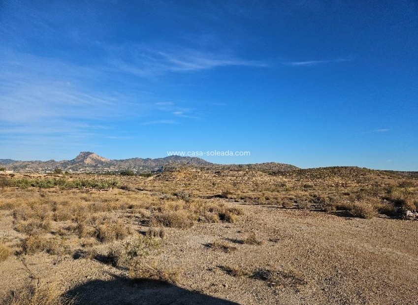 Resale - Land - Elda - 03600