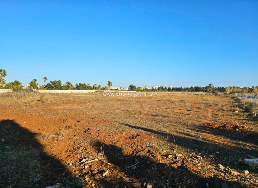 Resale - Land - Els Poblets - Els Poblets Centro