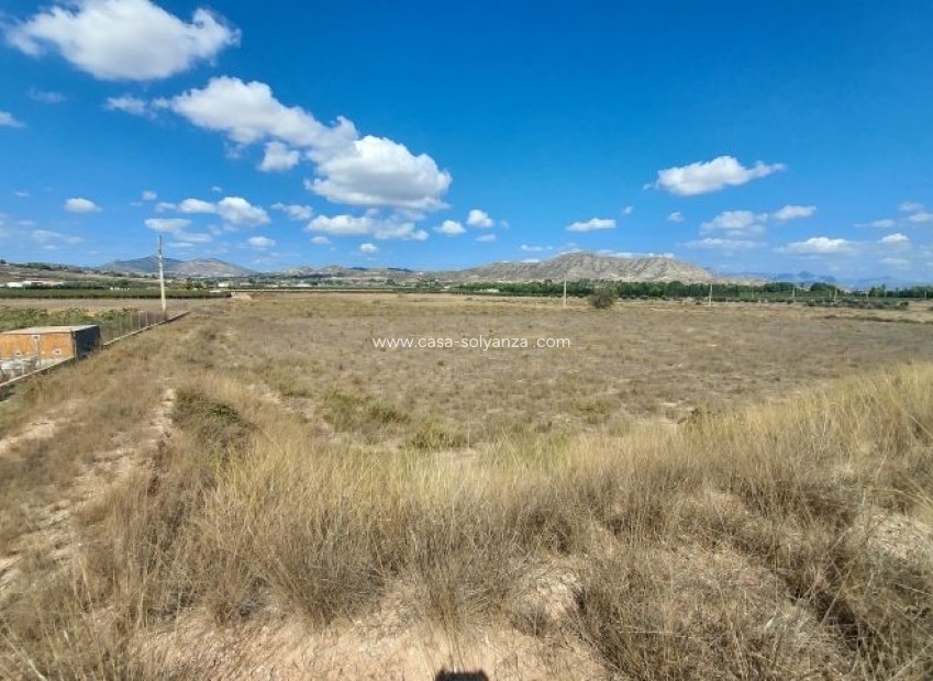 Resale - Land - Hondón de las Nieves - Inland