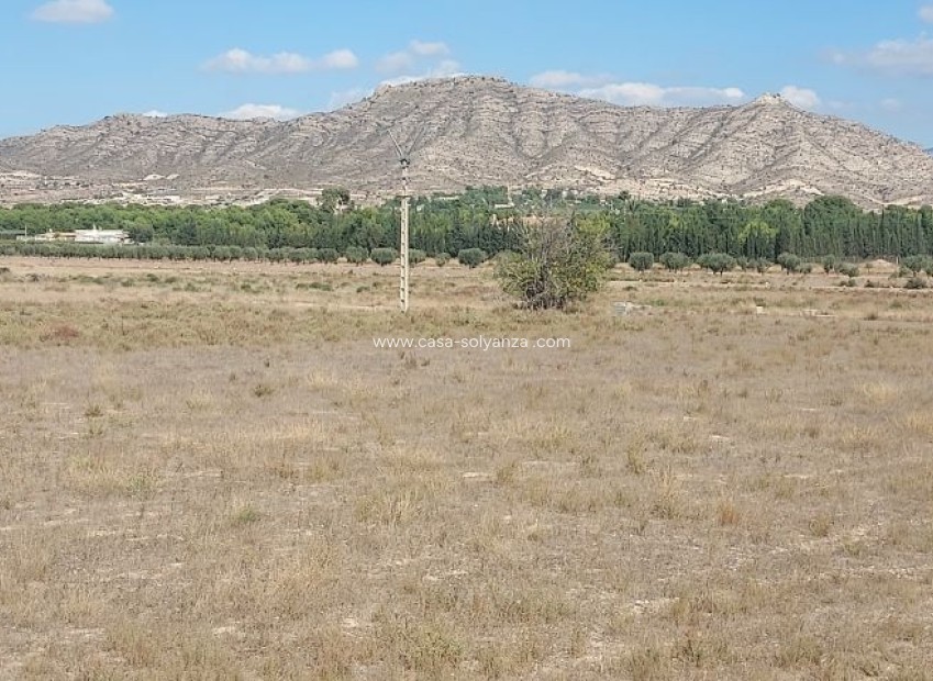 Resale - Land - Hondón de las Nieves - Inland