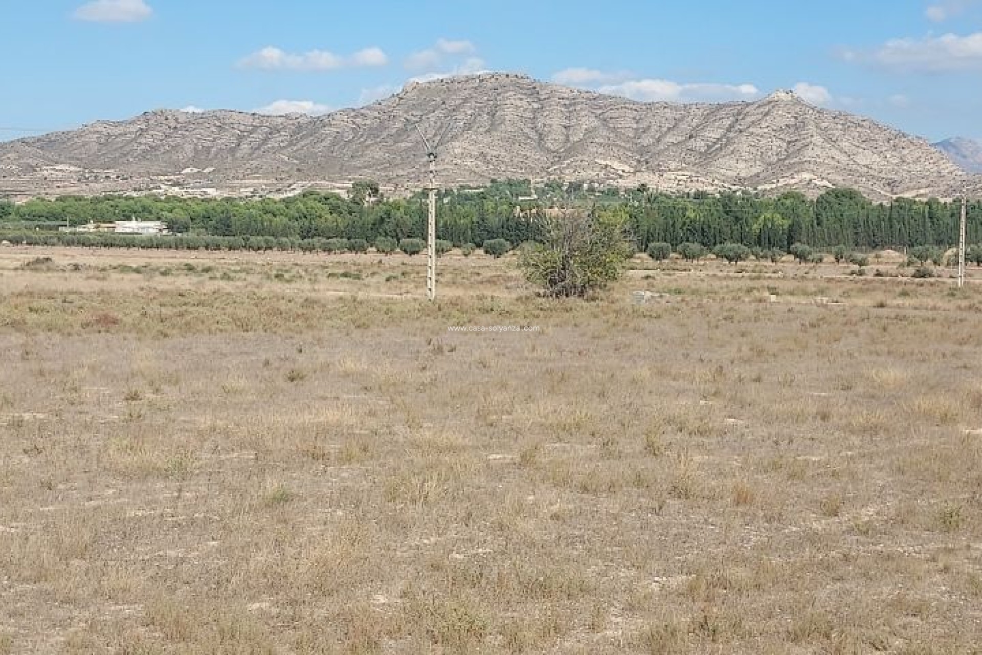 Resale - Land - Hondón de las Nieves - Inland