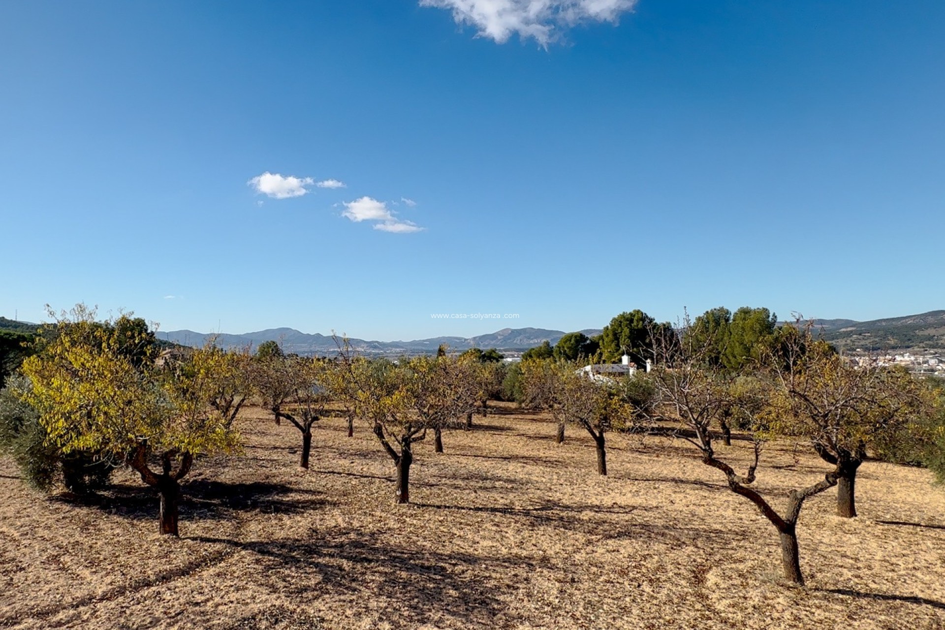 Resale - Land - Ibi - Costa Blanca