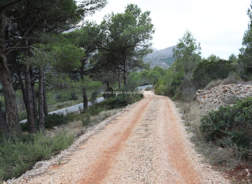 Resale - Land - Jalón - Inland