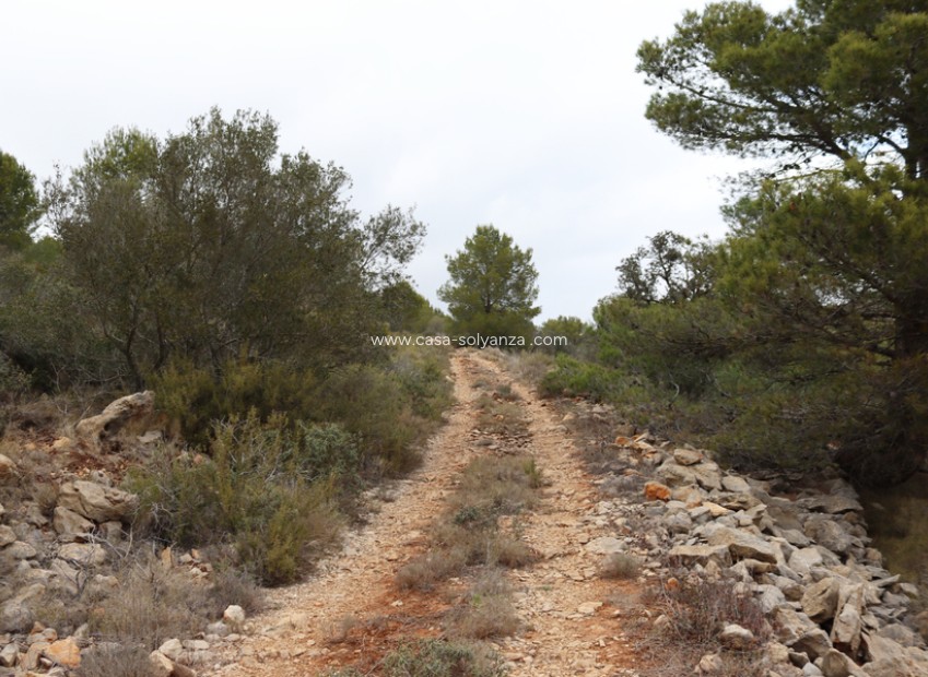 Resale - Land - Jalón - Inland