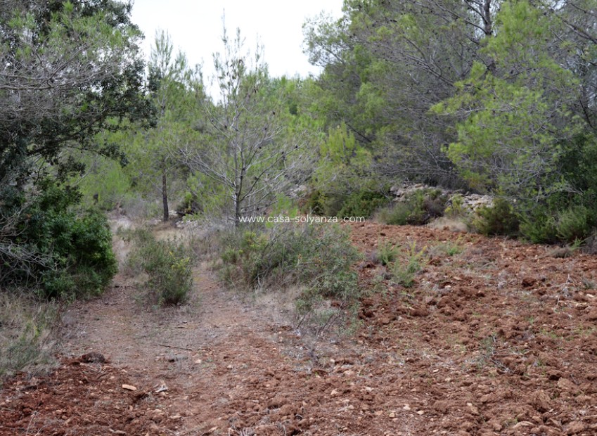 Resale - Land - Jalón - Inland