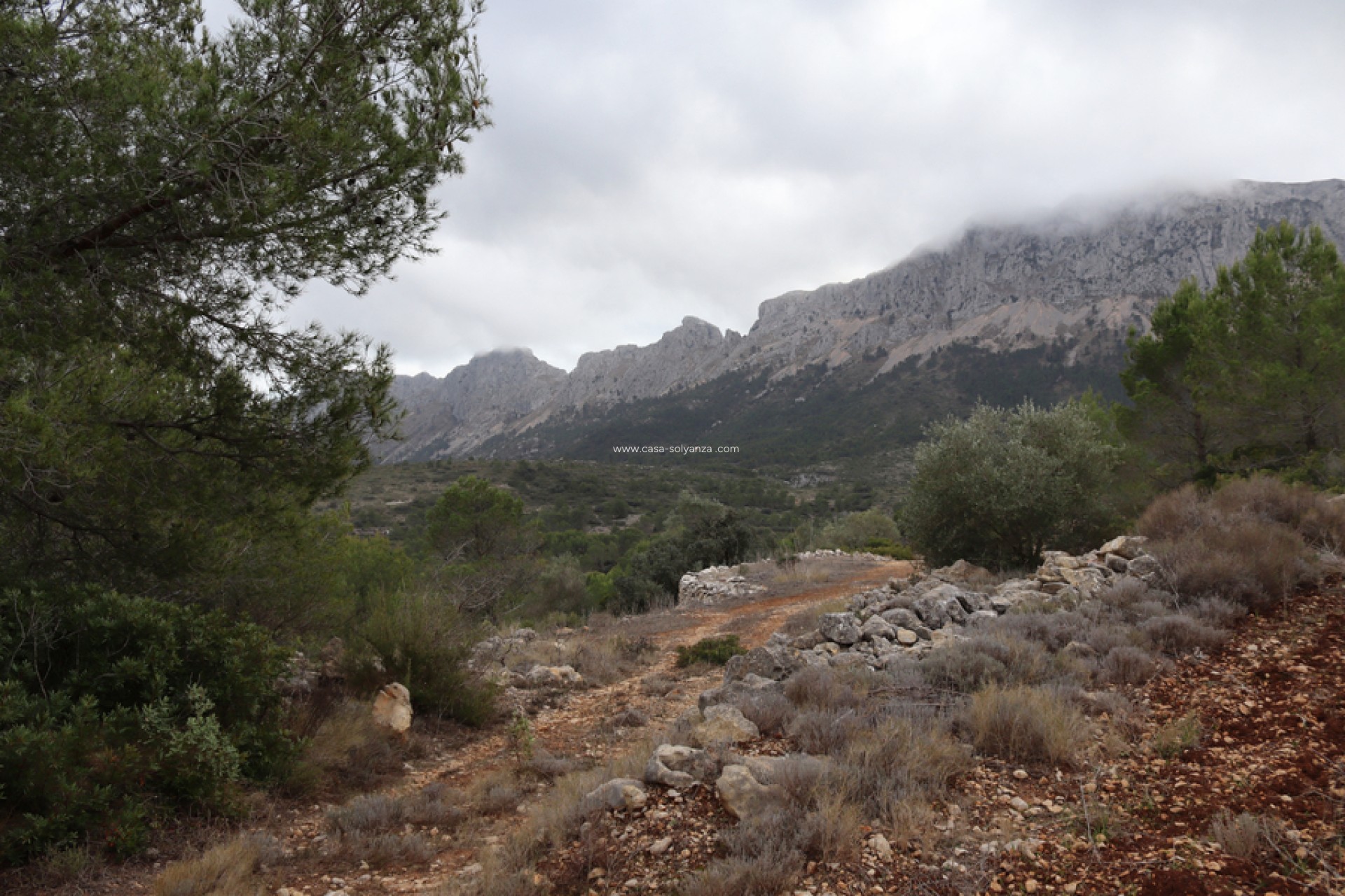 Resale - Land - Jalón - Inland