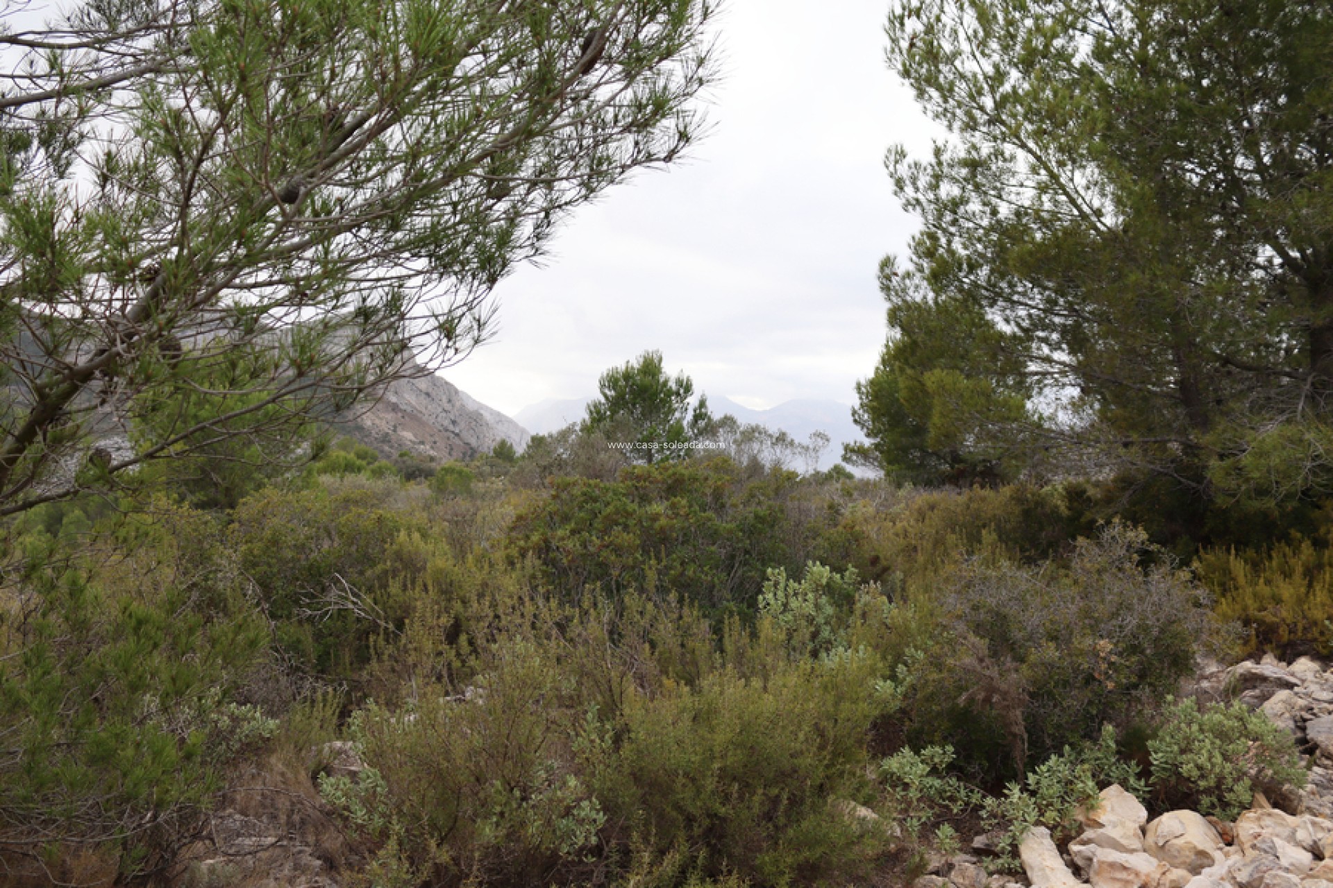 Resale - Land - Jalón - Inland