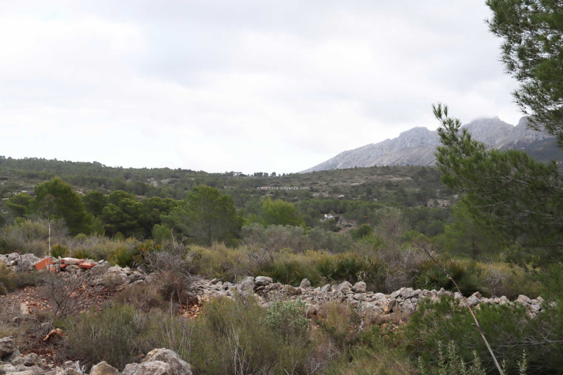 Resale - Land - Jalón - Inland