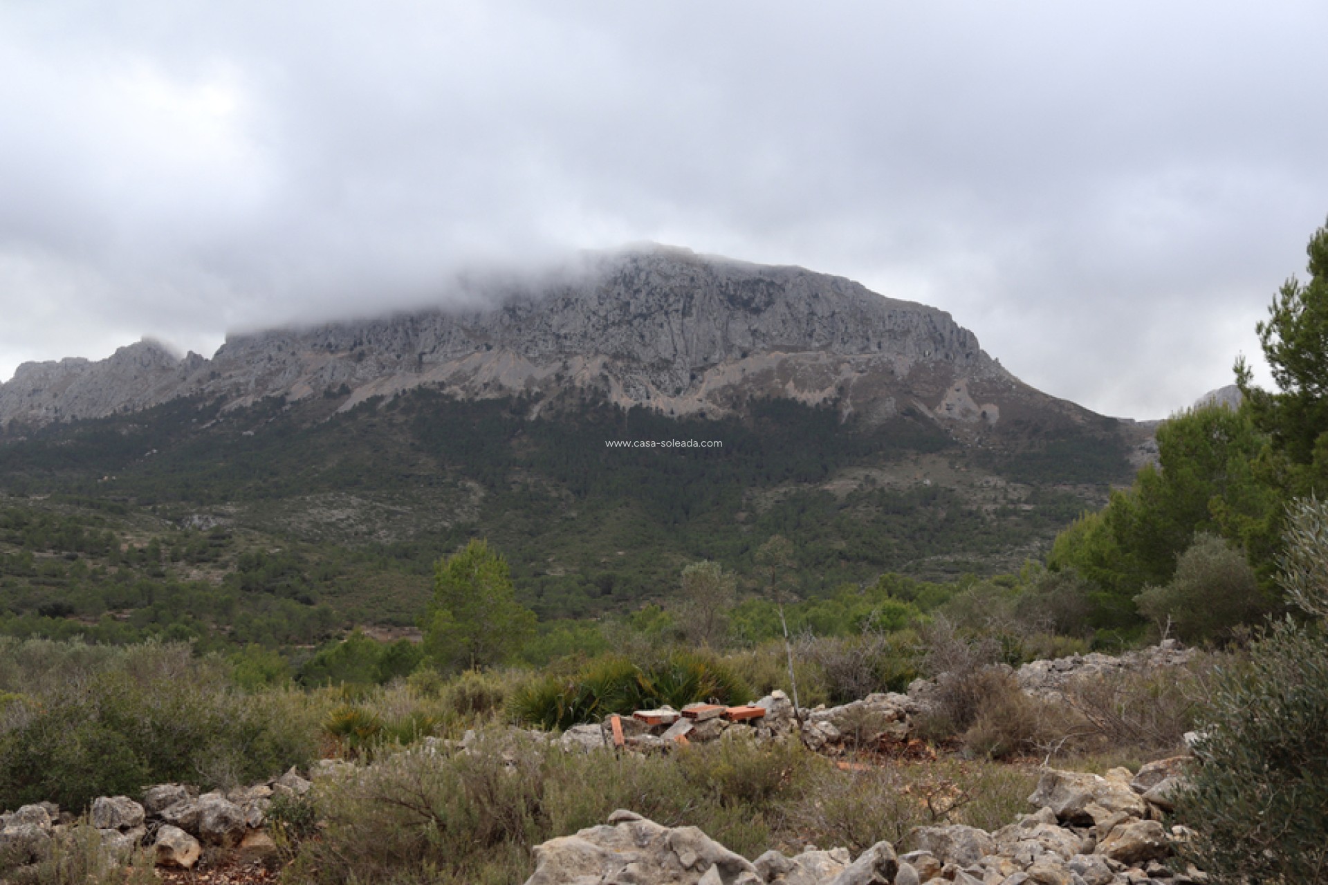 Resale - Land - Jalón - Inland