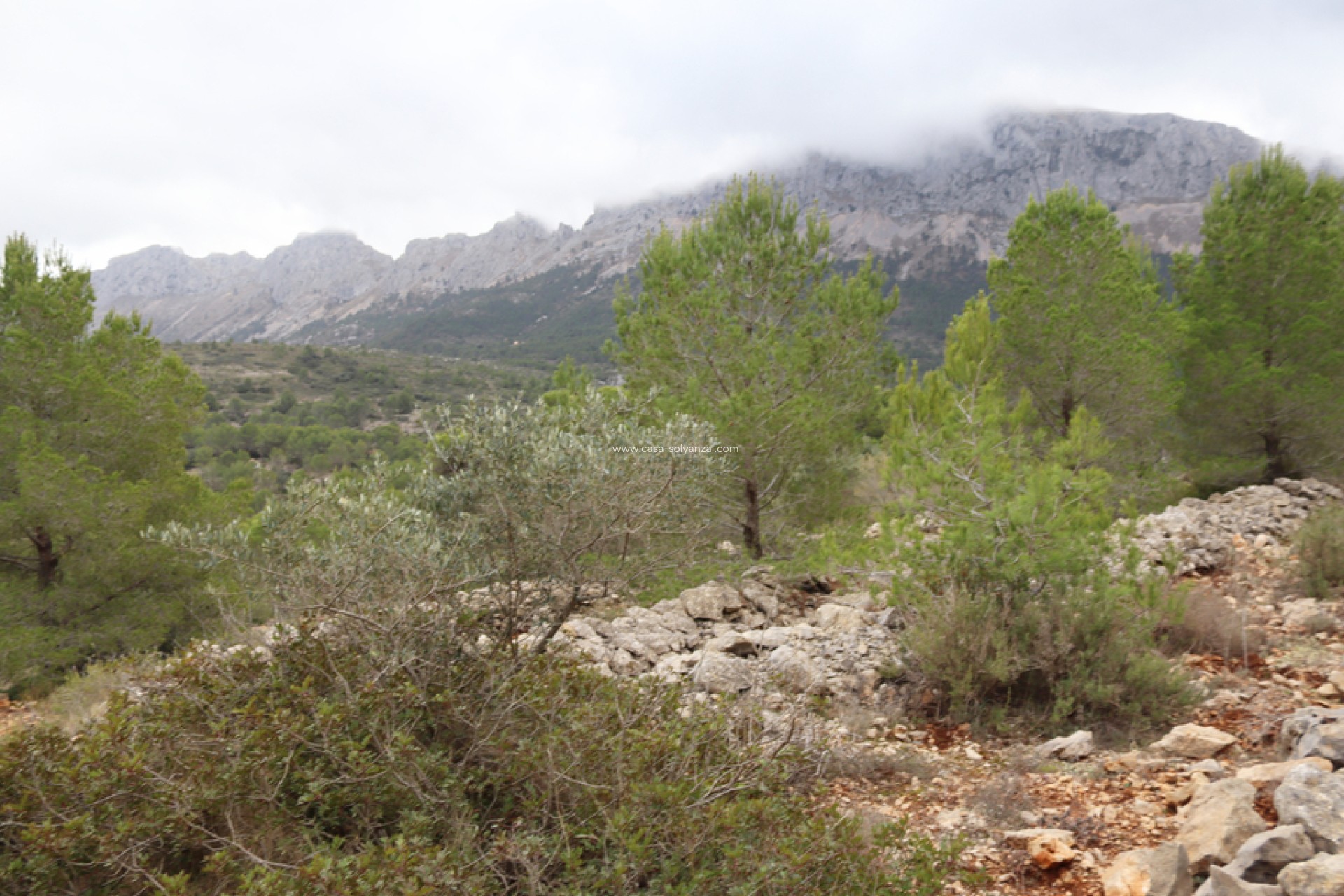 Resale - Land - Jalón - Inland