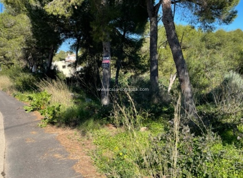 Resale - Land - Jávea - Xàbia - Jávea - Xàbia Centro
