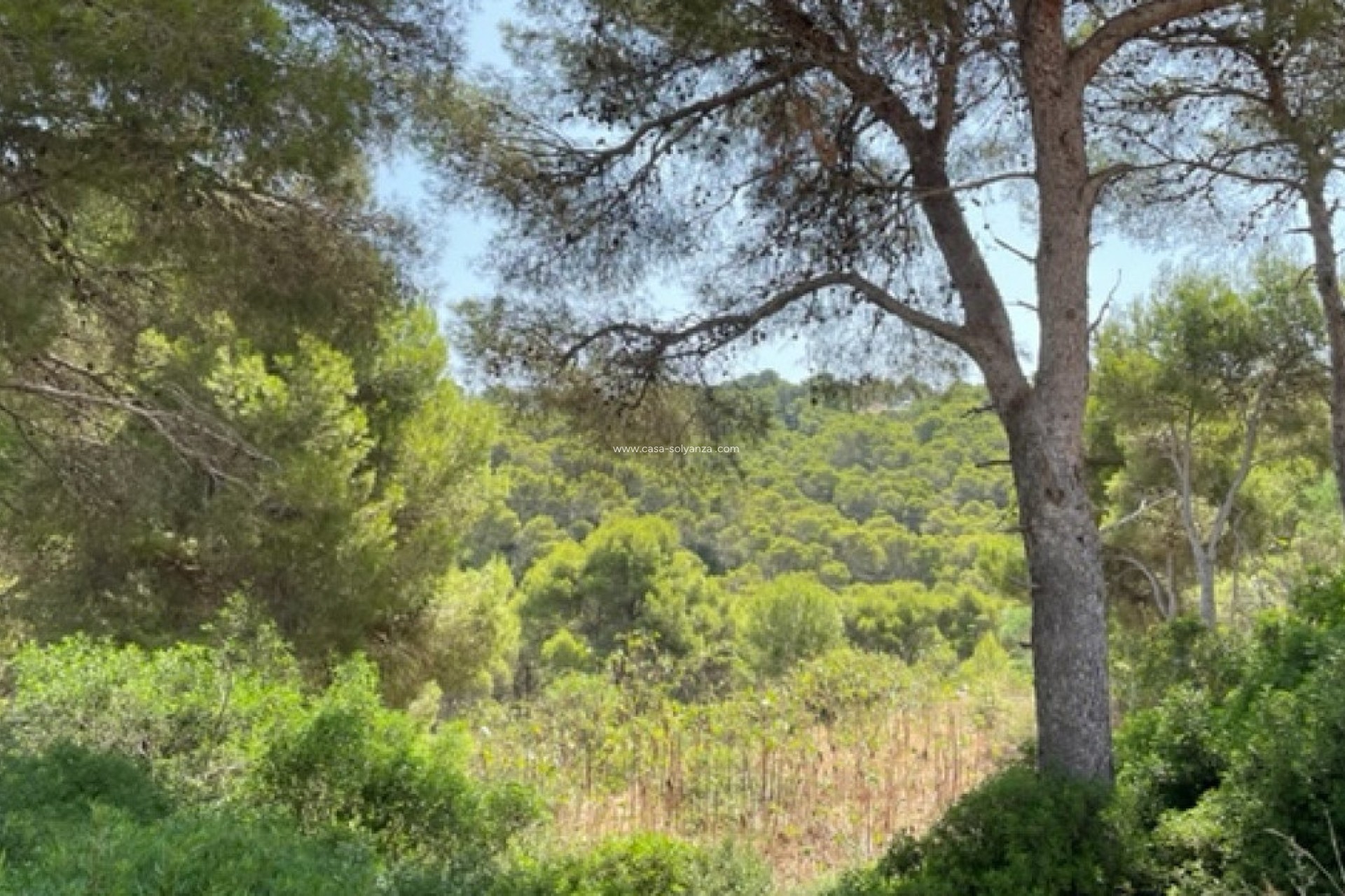 Resale - Land - Jávea - Xàbia - Jávea - Xàbia Centro