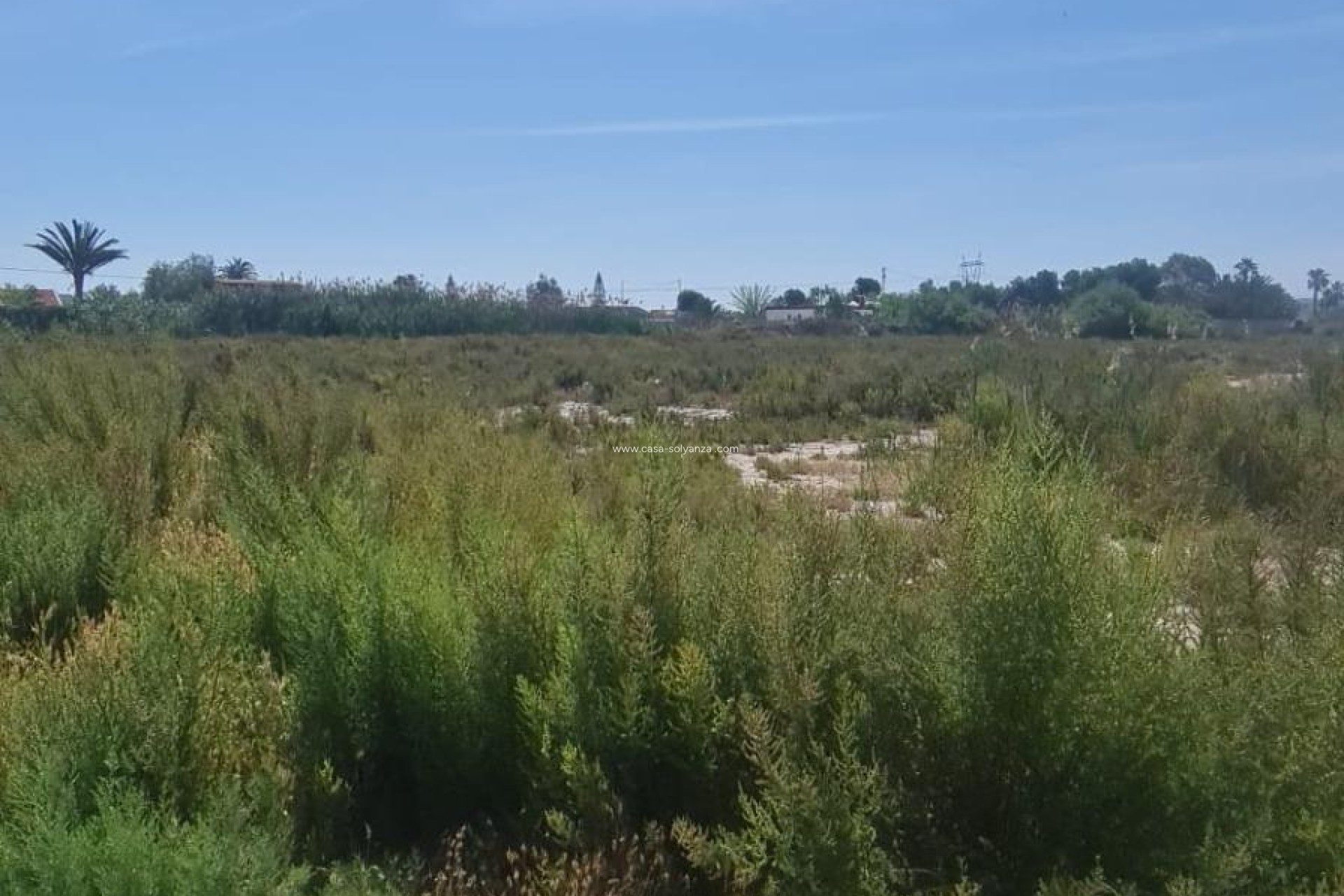 Resale - Land - La Hoya - La Hoya-daimes-el Derramador