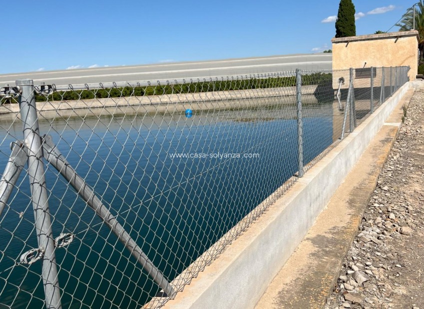 Resale - Land - Los Montesinos - Los Perez