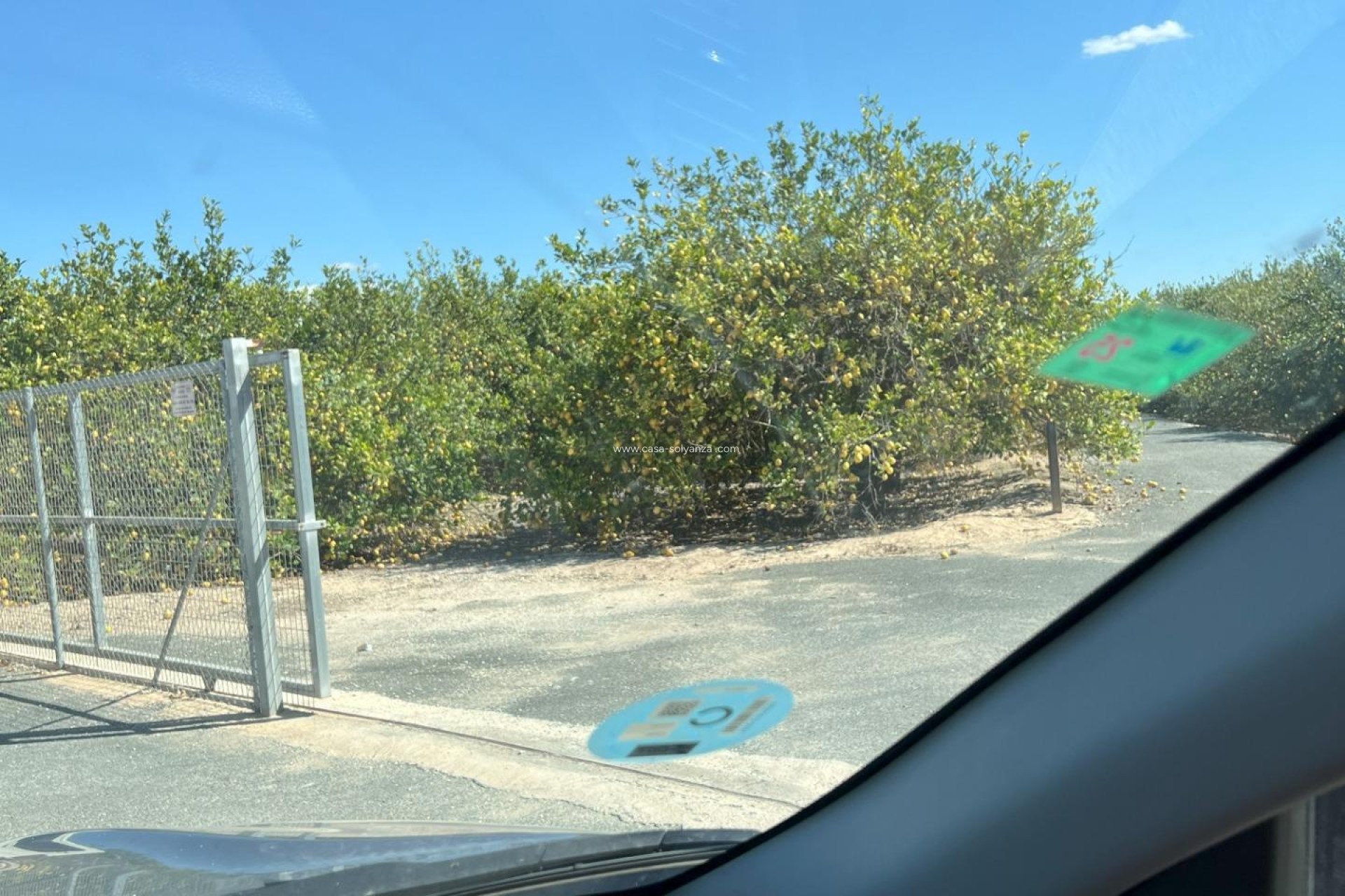 Resale - Land - Los Montesinos - Los Perez