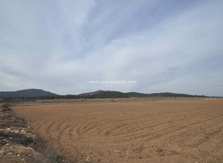 Resale - Land - Monóvar - Inland