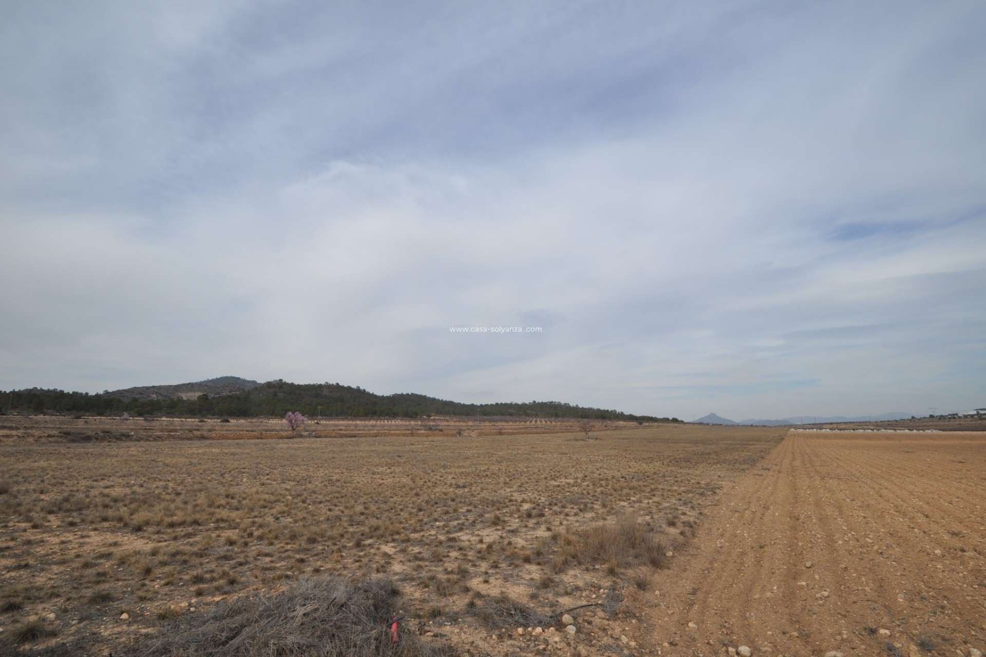 Resale - Land - Monóvar - Inland