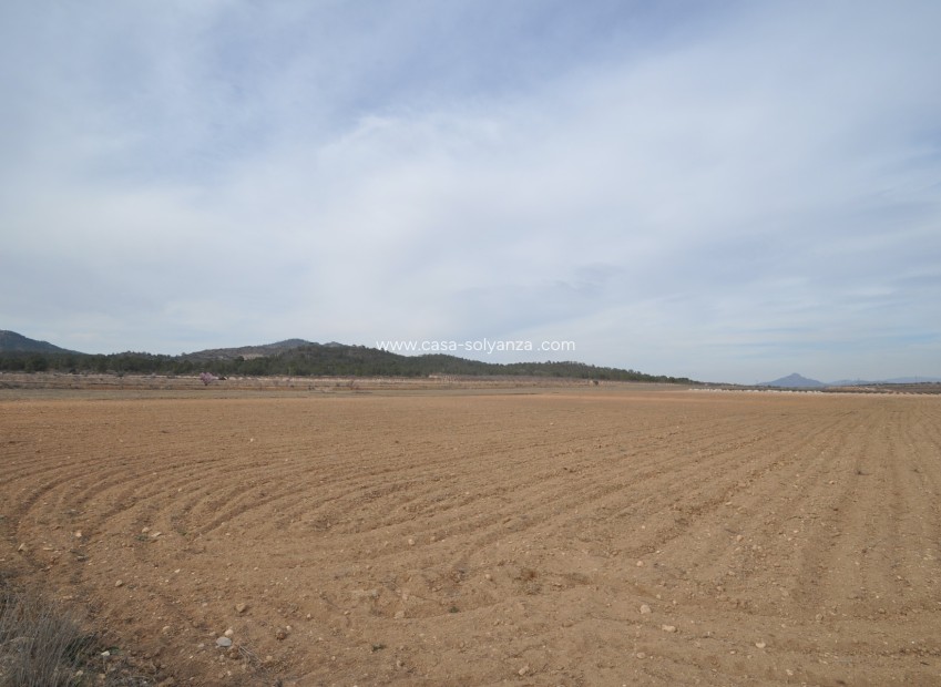 Resale - Land - Monóvar - Inland