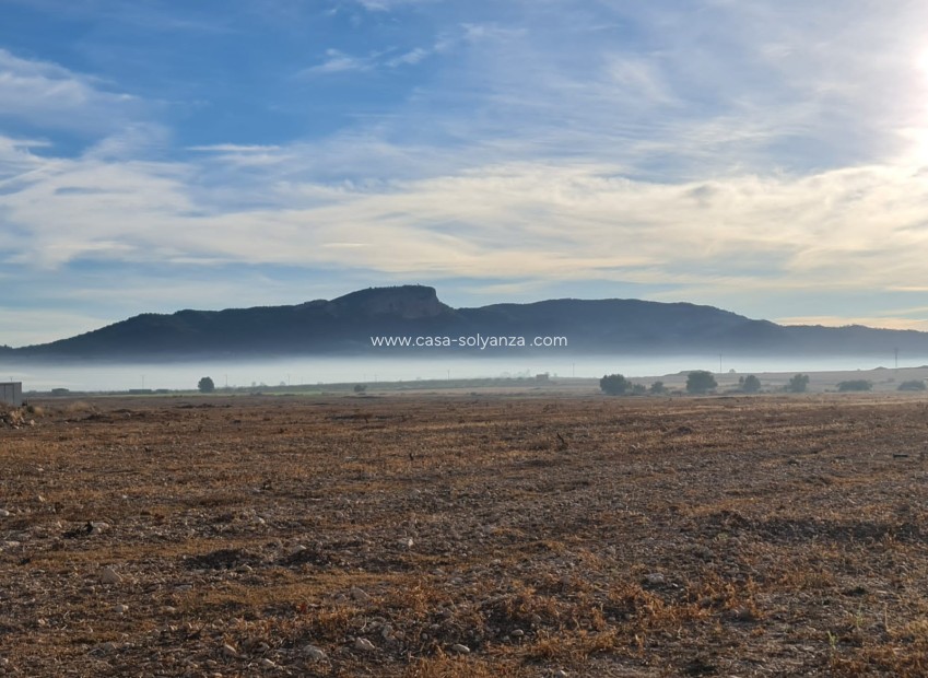 Resale - Land - Monóvar - Inland