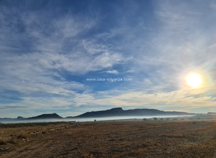 Resale - Land - Monóvar - Inland