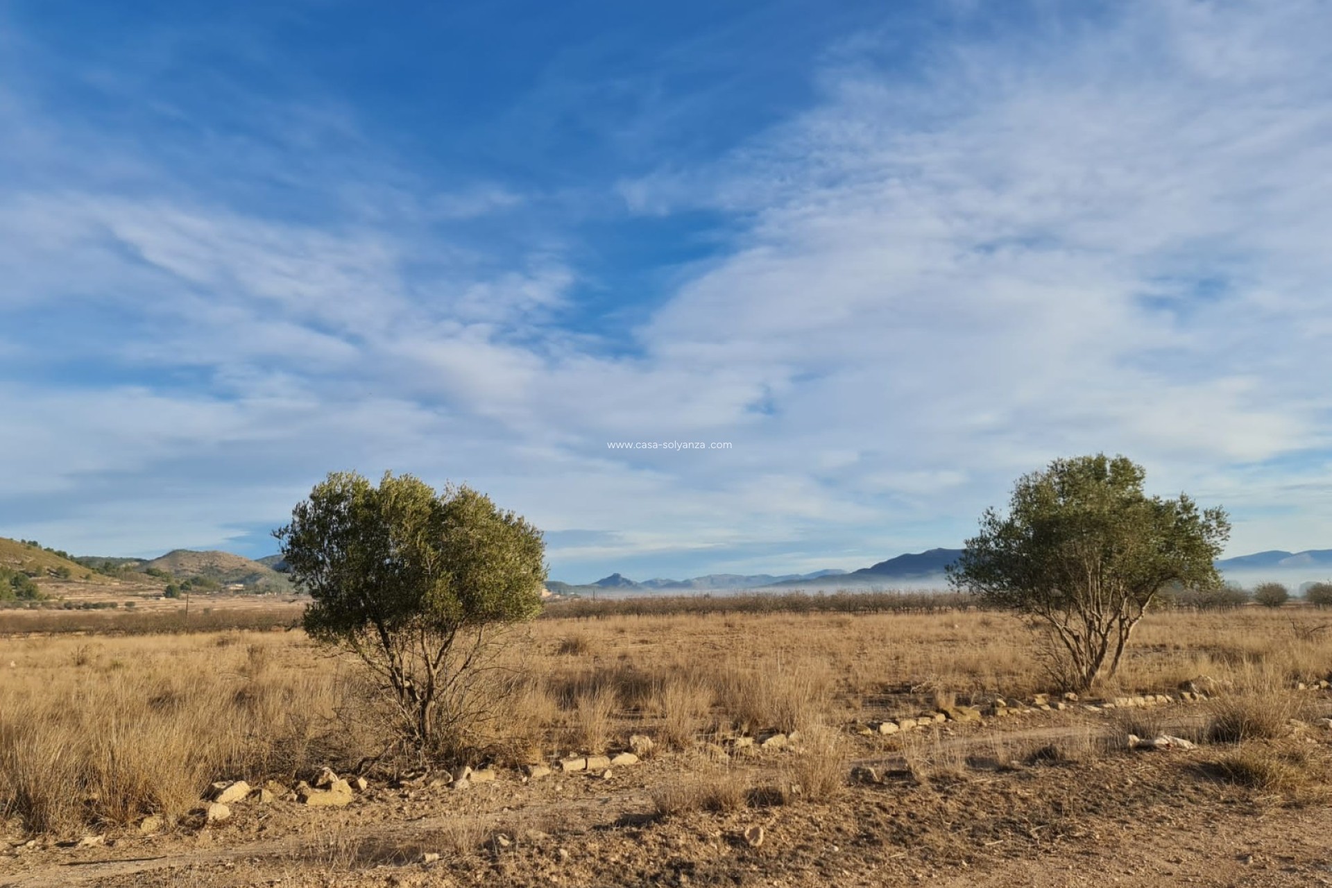 Resale - Land - Monóvar - Inland