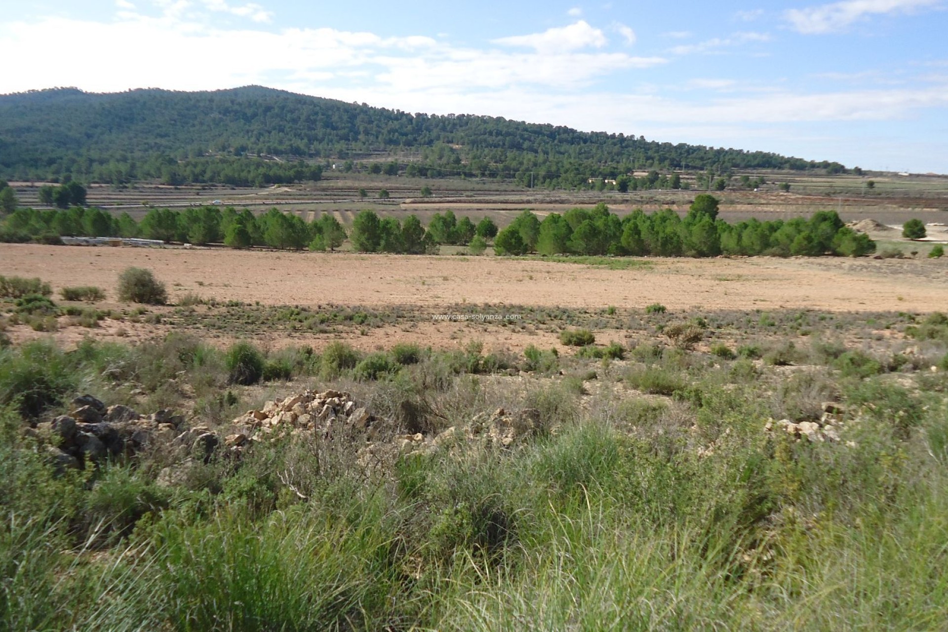 Resale - Land - Monóvar - Inland