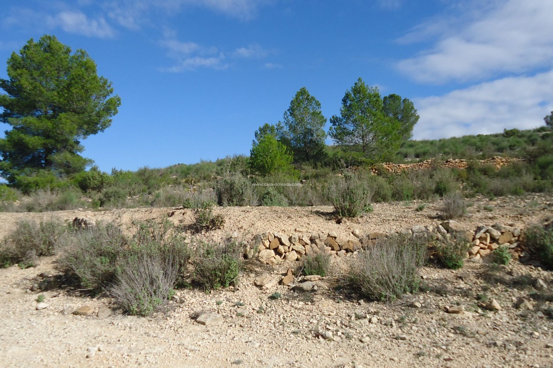 Resale - Land - Monóvar - Inland