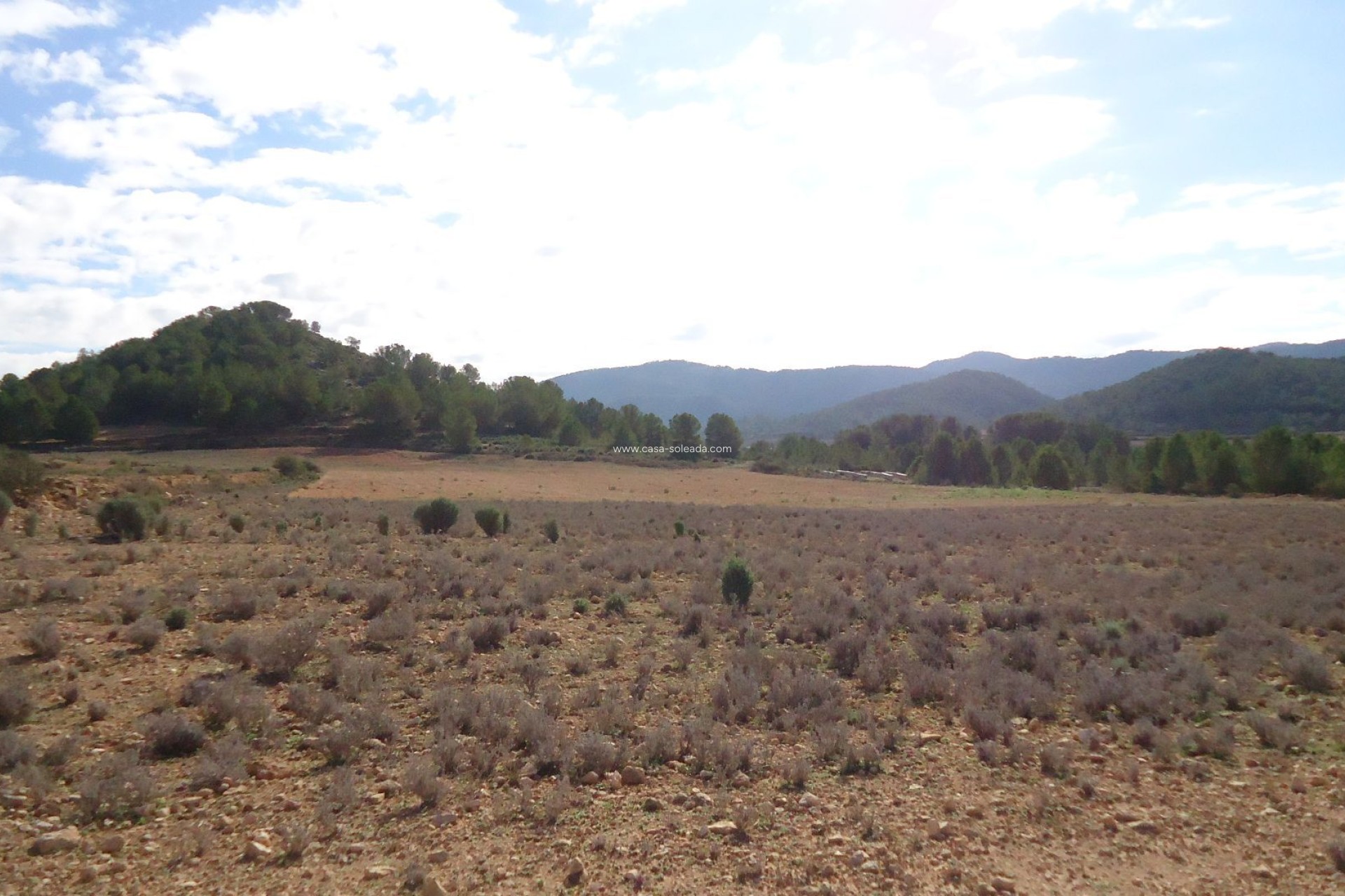 Resale - Land - Monóvar - Inland