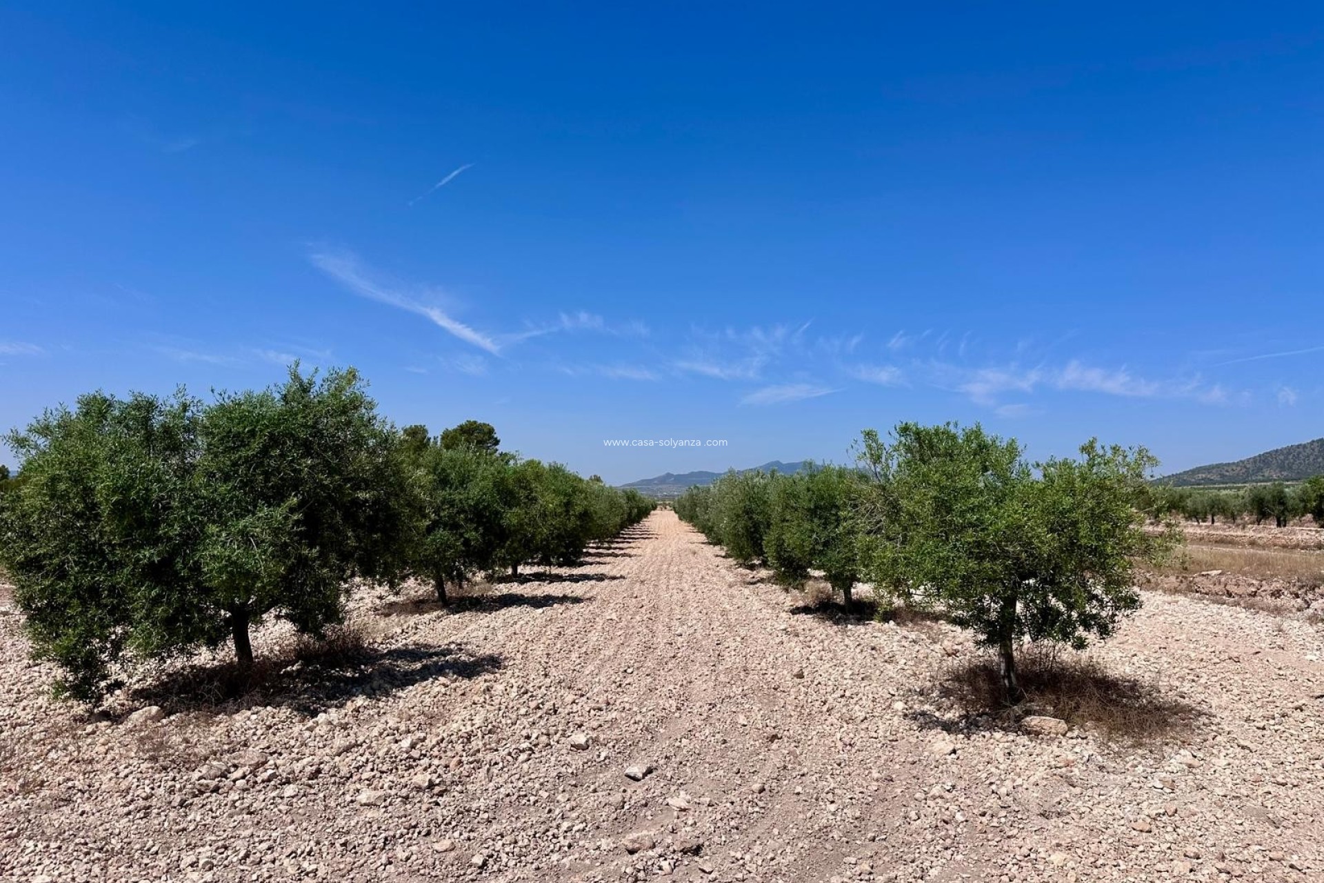 Resale - Land - Monóvar - Inland