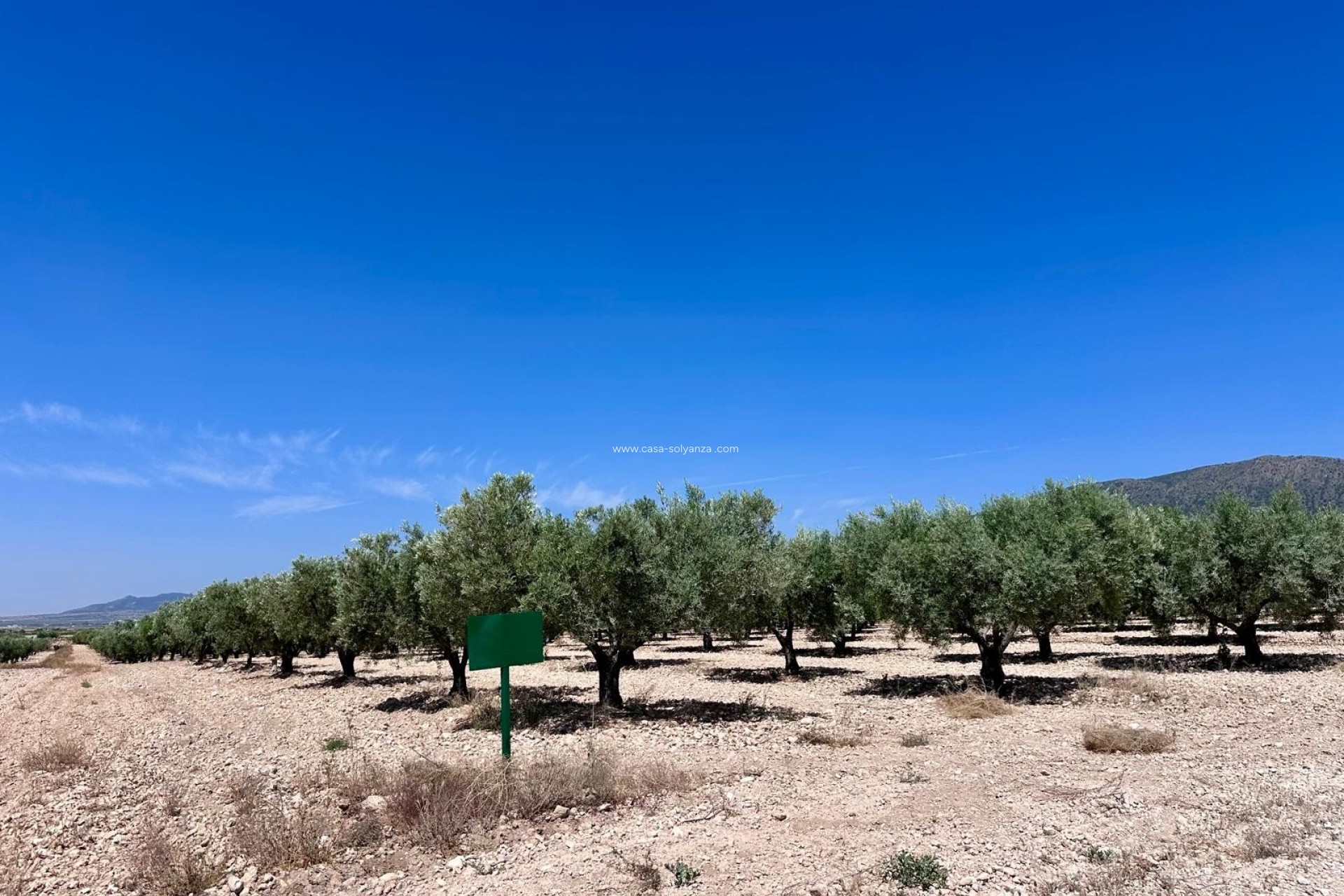 Resale - Land - Monóvar - Inland