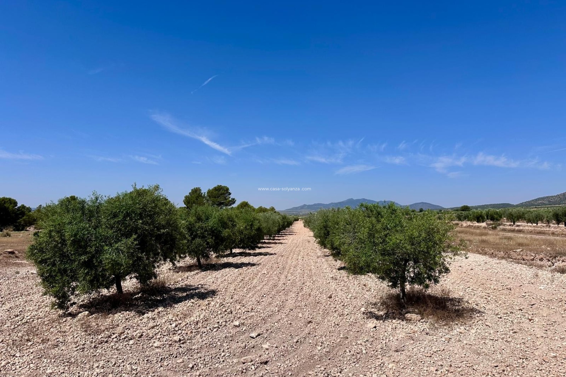 Resale - Land - Monóvar - Inland