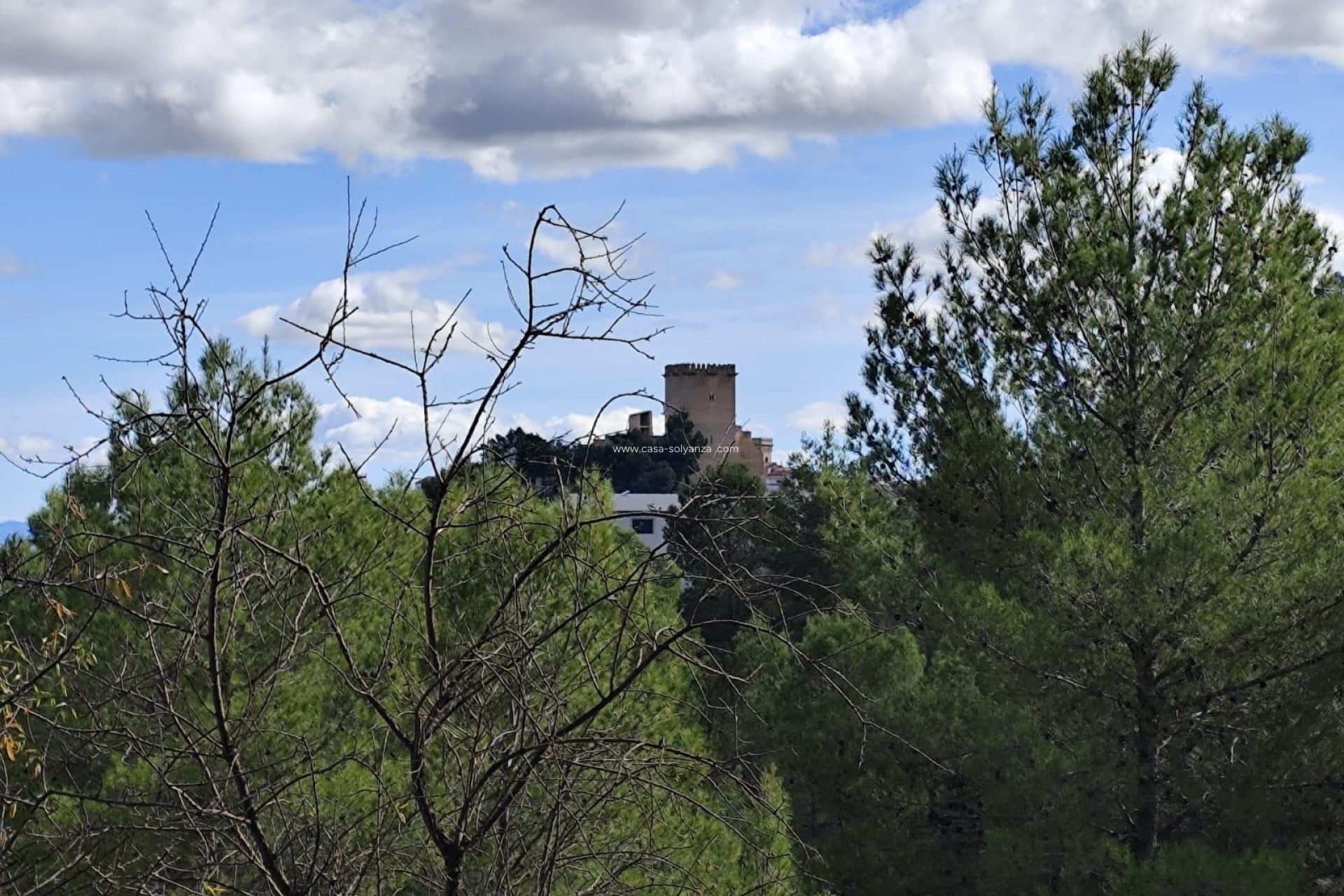 Resale - Land - Moratalla