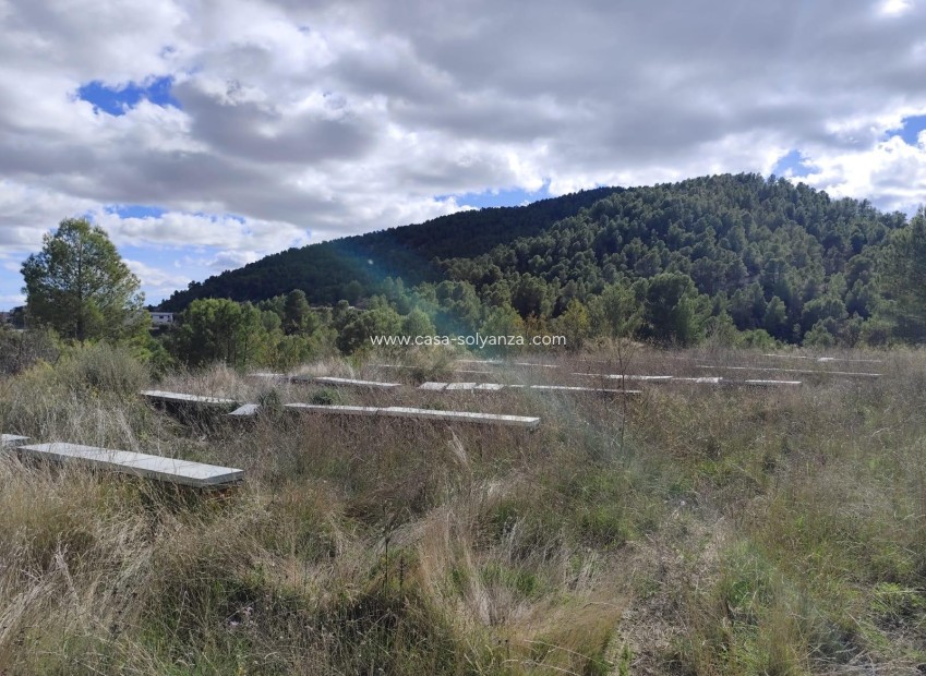 Resale - Land - Moratalla