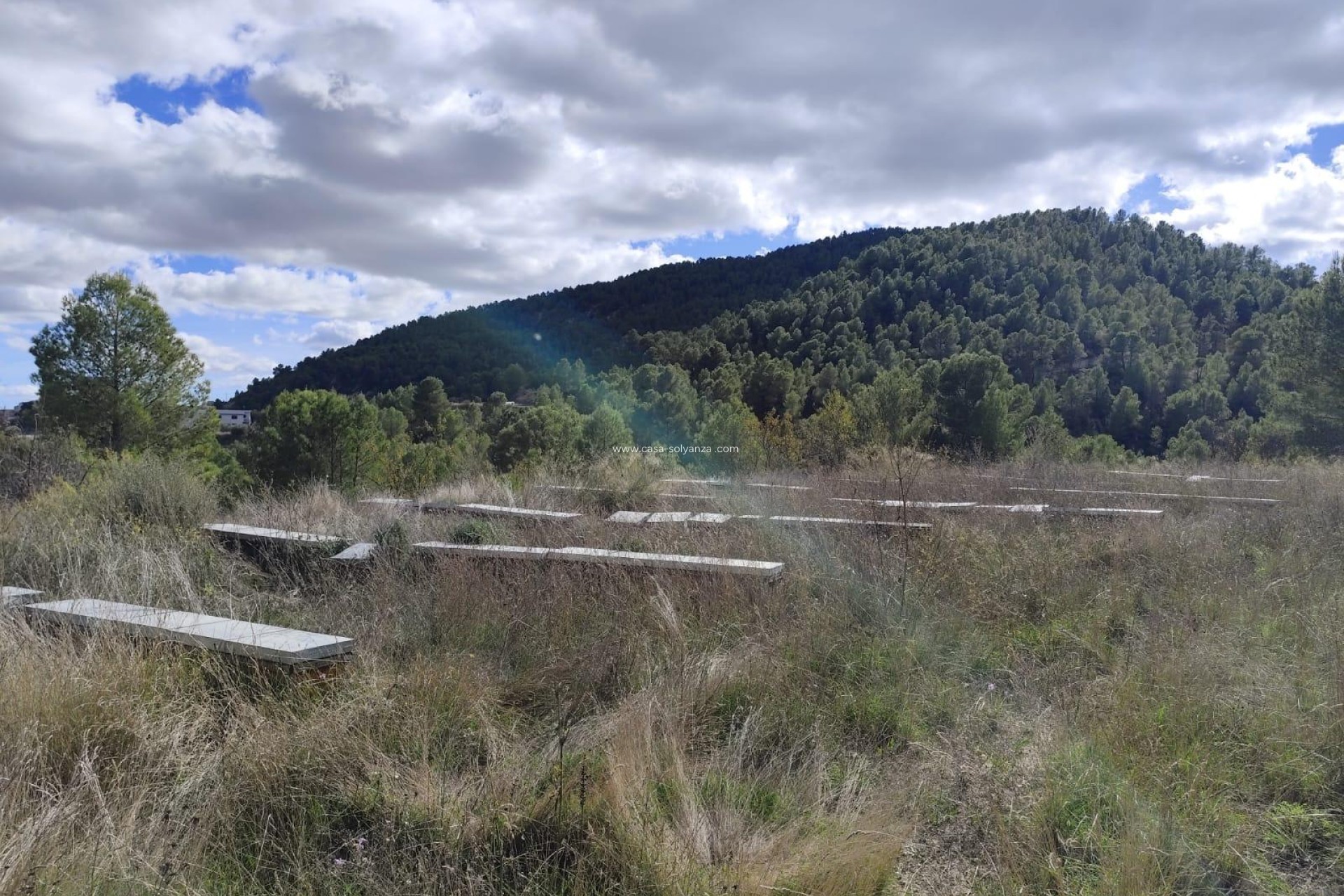 Resale - Land - Moratalla