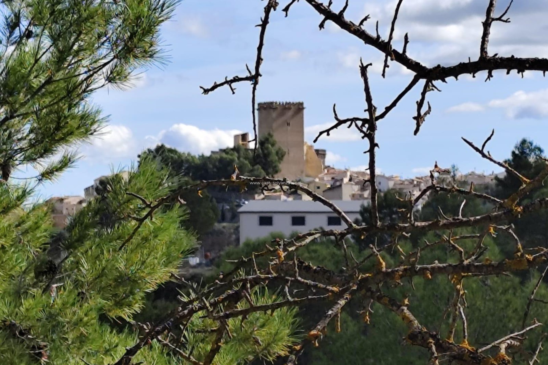 Resale - Land - Moratalla