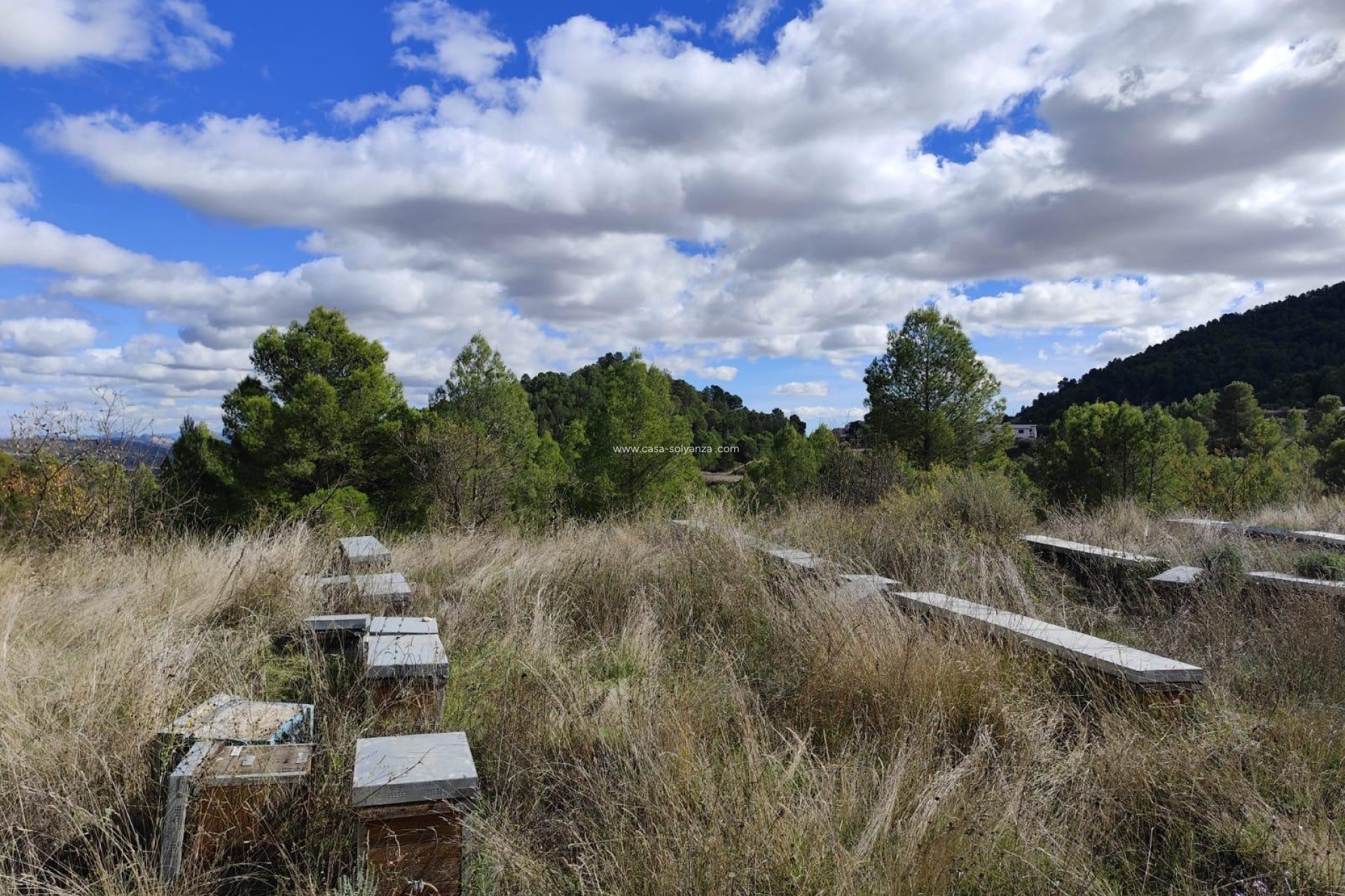 Resale - Land - Moratalla