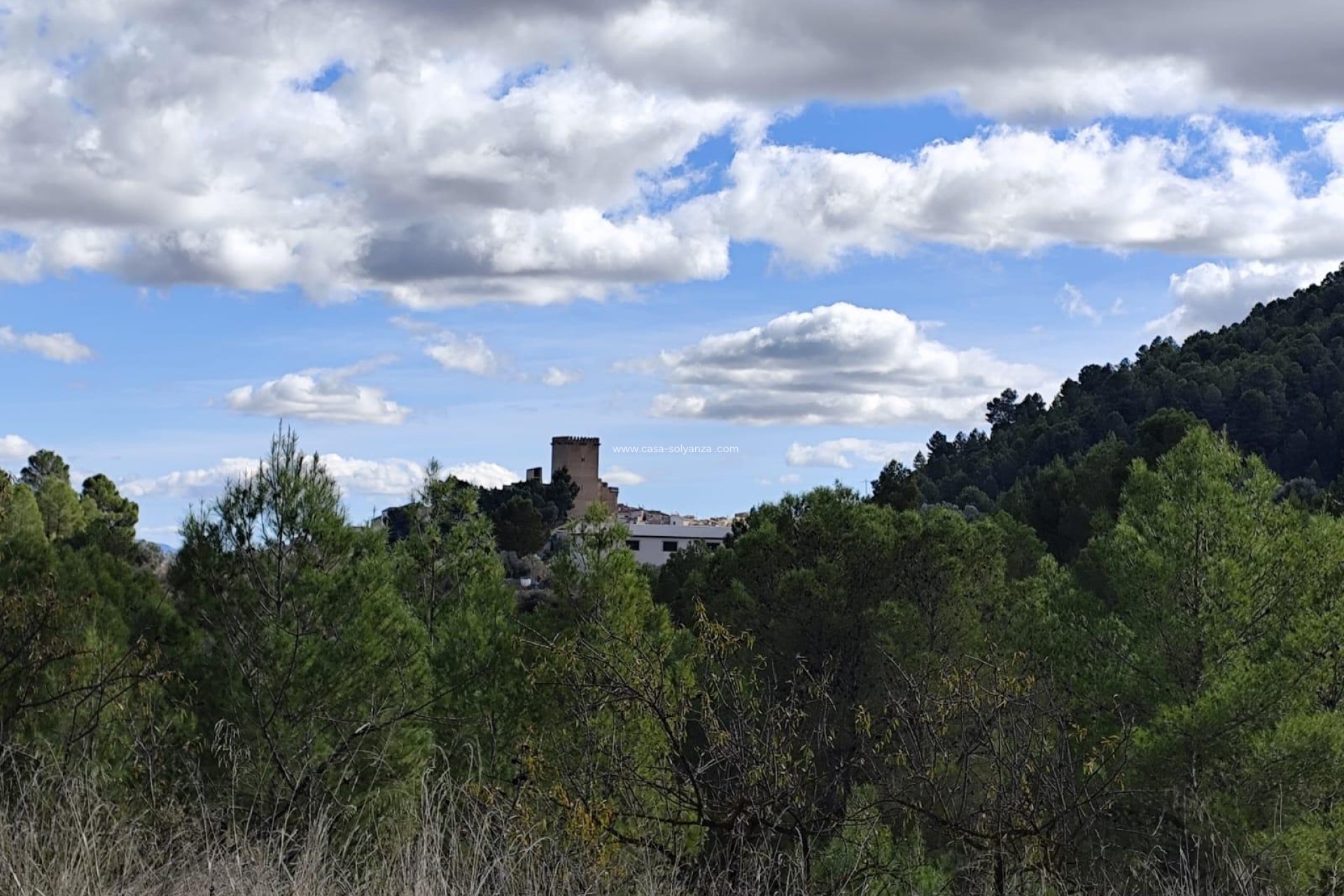 Resale - Land - Moratalla